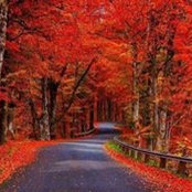 Sharon Clevenger's photo