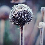 Miranda Taylor's photo