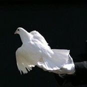Wanda Carroll's photo