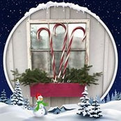 Wanda Bushey's photo