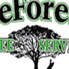 DeForest Tree Service