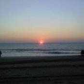 Laura Ferguson's photo