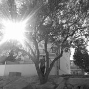 Foto de Rosi P
