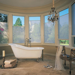 Hunter Douglas Slhouettes - Window Treatments