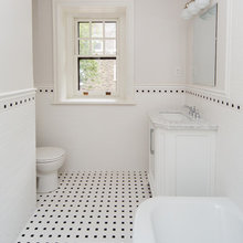 Basement guest bathroom
