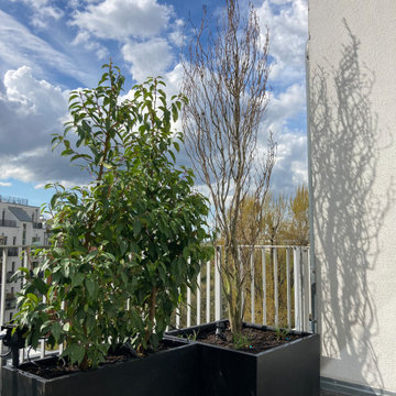 Sichtschutz mit größteils immergrüner Bepflanzung