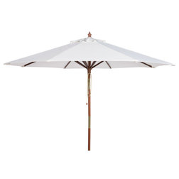 Traditional Outdoor Umbrellas by Safavieh