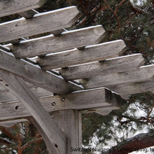 pergola