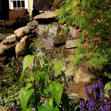 Pondless Waterfall - Landscape