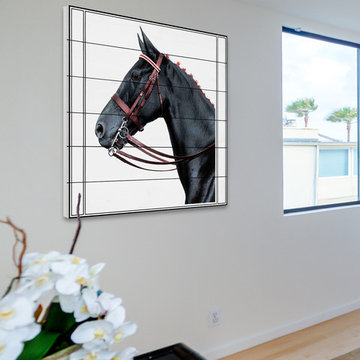 Journal Horse 2
