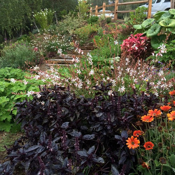 Planting Arrangements