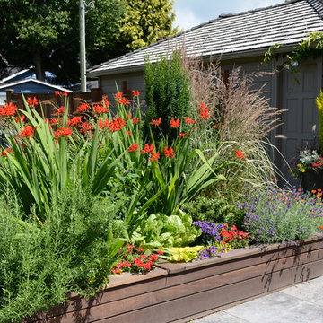 Raised Vegetable Bed / Ornamental Garden 2016