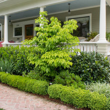 gardening