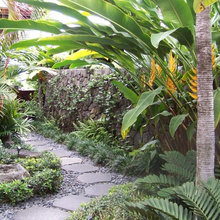 Backyard Landscaping