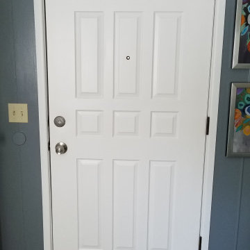 Door painting and shoe molding installation