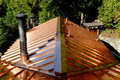 Mid-sized mountain style two-story exterior home photo in San Francisco with a metal roof