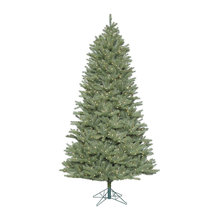 Christmas Trees
