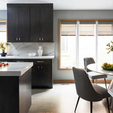 Northbrook Home Renovation for Repeat Client