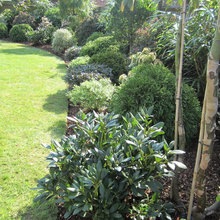 Street Corner Garden