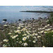Michele Shaw's photo