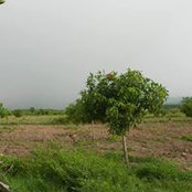 Chhay Tum's photo