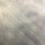 l l's photo