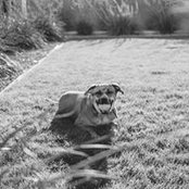 Noelle Schulenburg's photo
