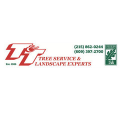 T & T Tree Service & Landscape Experts