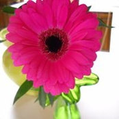 Kara Creamer's photo