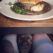 Anna Clark's photo