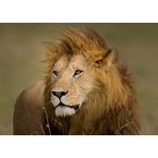 Lauren Hepher's photo