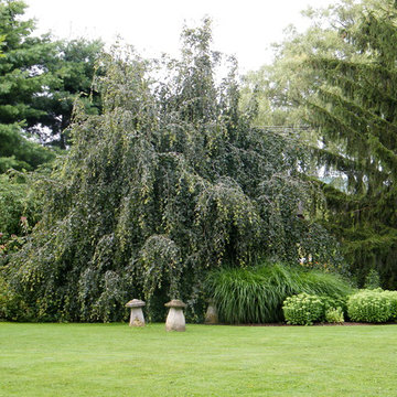 Old Farm Nursery: Display Gardens