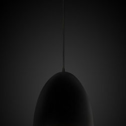 Egg Black Label Brass Pendant Light - Pendant Lighting