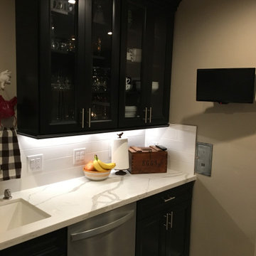 Small Wall Mounted TV w/Milkman Delivery Door!