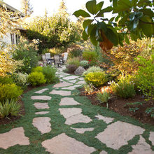 Landscape Ideas