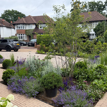 Driveway redesign and new planting