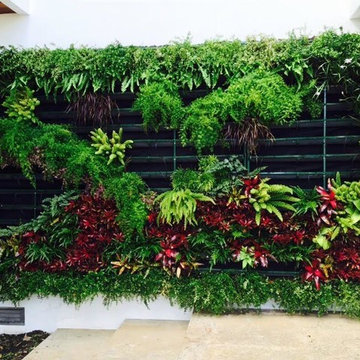 Vertical Gardens