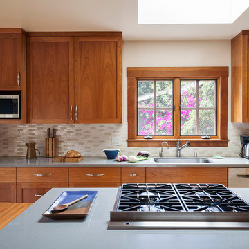 Palo Alto Full Overlay Craftsman Kitchen