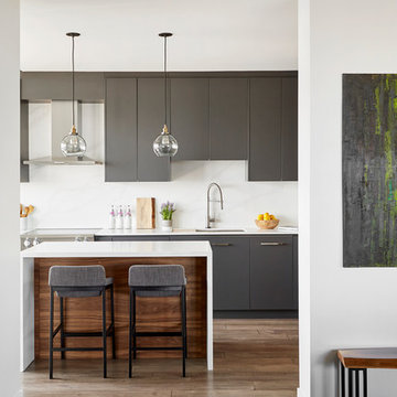 Downtown Toronto Modern Condo Kitchen