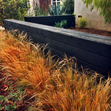 Japanese Charred Wood Garden Wall