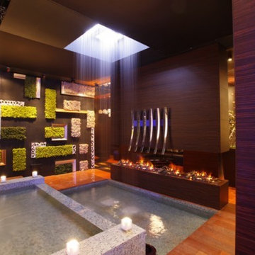 Spa / Meditation / Lounge