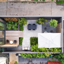 Yards/Garden