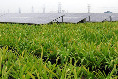 /cambodge-energie-premiere-ferme-solaire