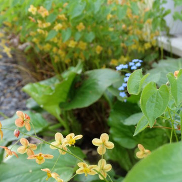 Gravel garden