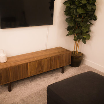 Nelson Basement Project