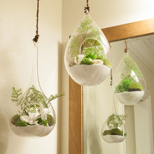 jennifer_b79's ideas