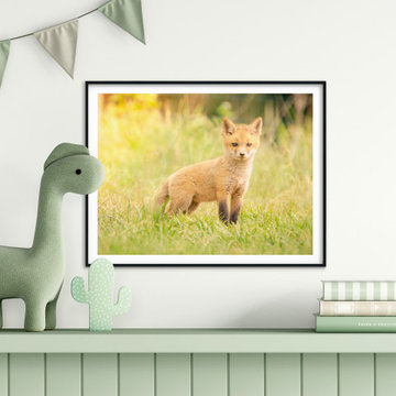 Baby Red Fox in the Sun Rustic Farmhouse Style Wall Art Prints