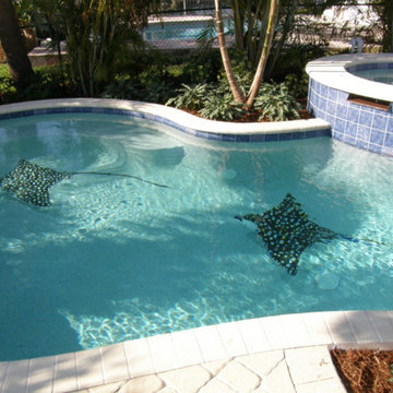 Spotted Rays South Florida