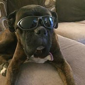 Garreth Walsh's photo