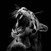 Huynh Tam's photo